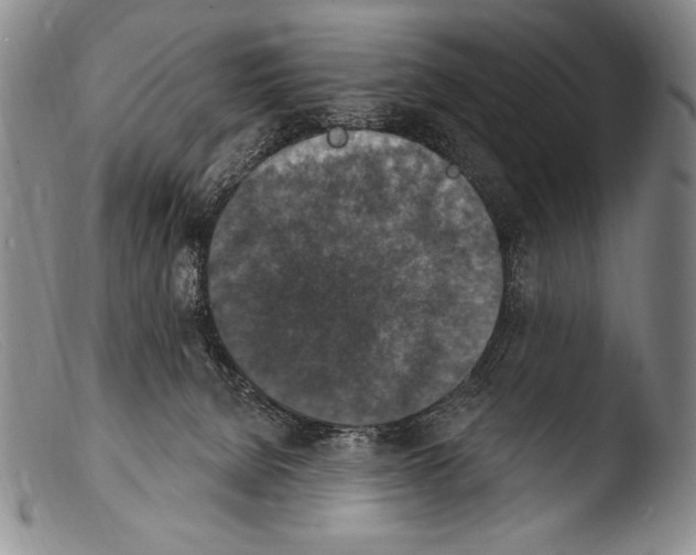X0000103950080200810311600