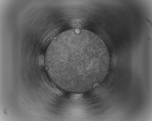 X0000103950081200810311600