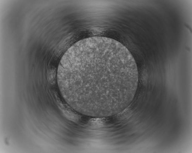 X0000103950082200810311600
