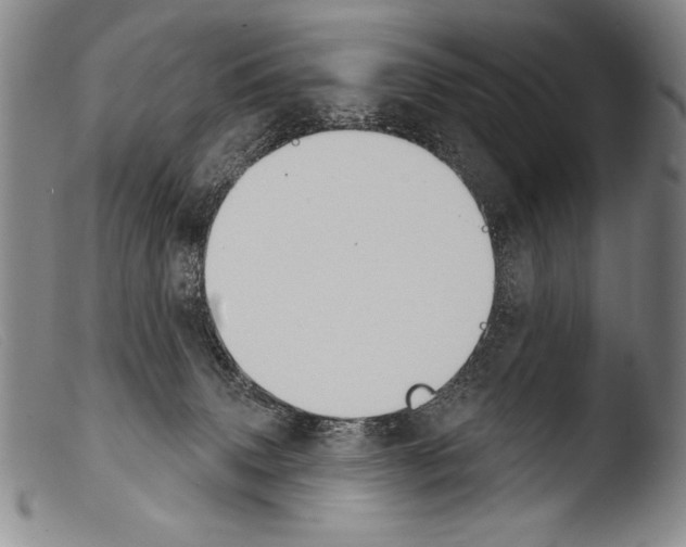 X0000103950083200810311600