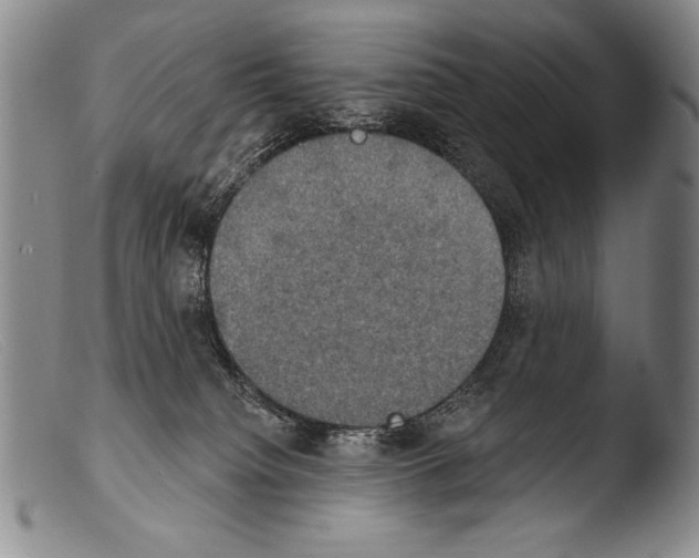 X0000103950084200810311600