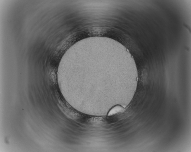 X0000103950086200810311600