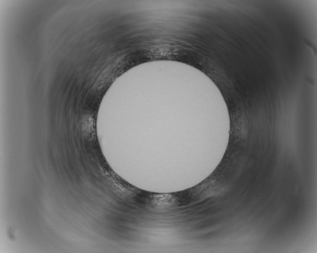 X0000103950087200810311600
