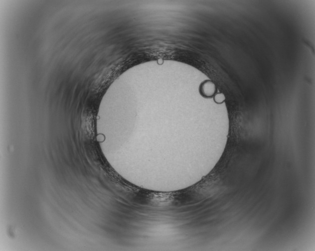 X0000103950088200810311600
