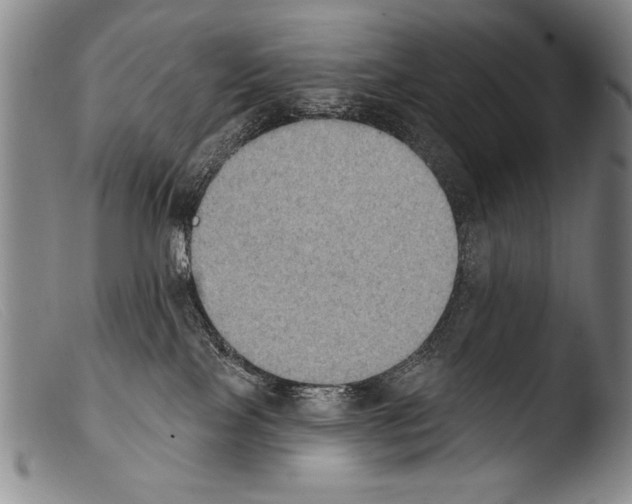 X0000103950089200810311600