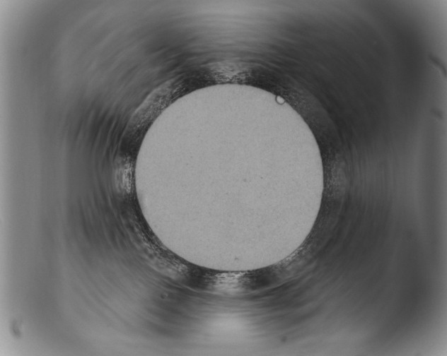 X0000103950090200810311600