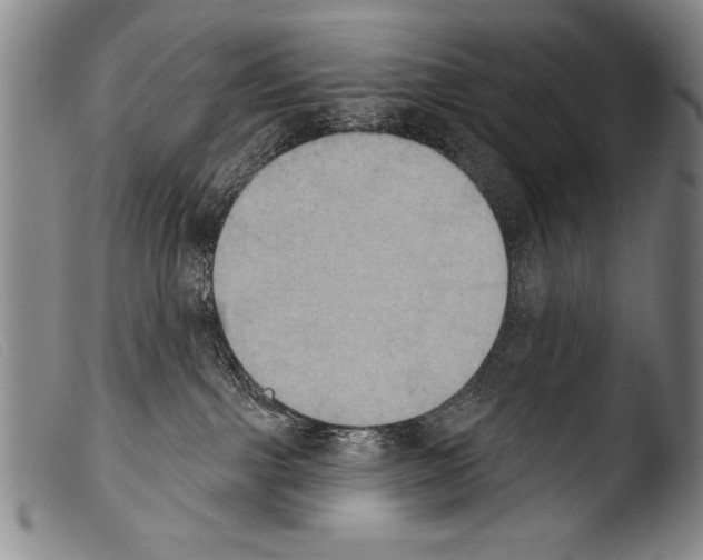 X0000103950091200810311600