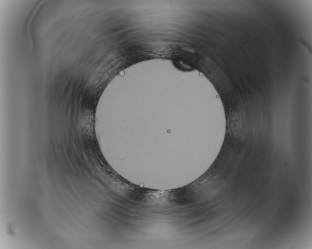 X0000103950092200810311600