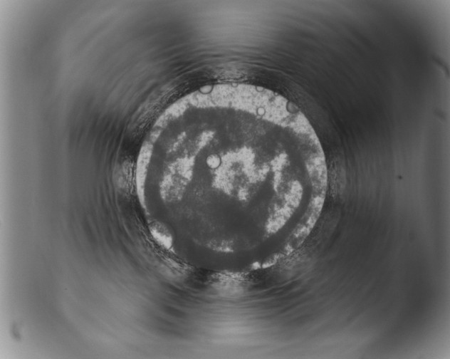 X0000103950093200810311600