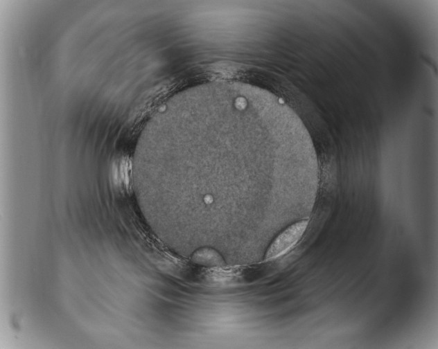 X0000103950094200810311600