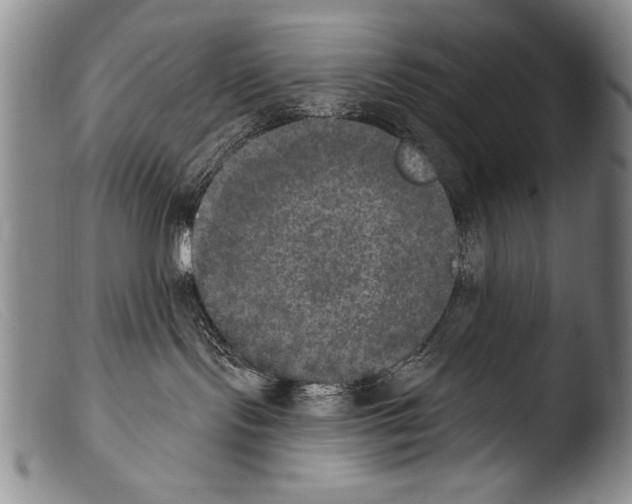 X0000103950095200810311600