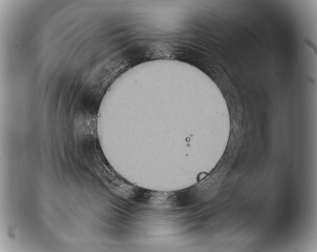 X0000103950096200810311600