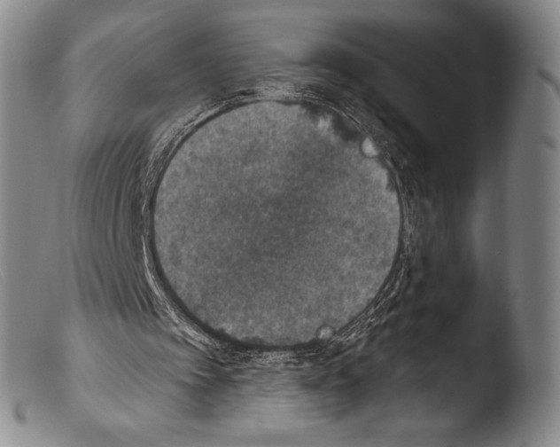 X0000103950097200810311559
