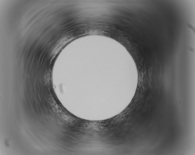 X0000103950098200810311559