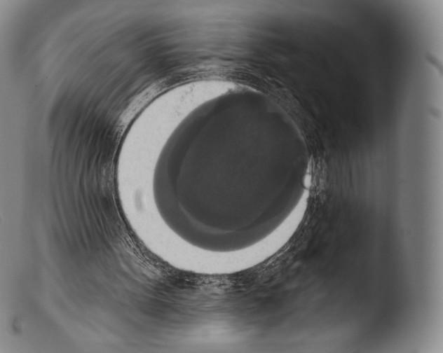 X0000103950099200810311559