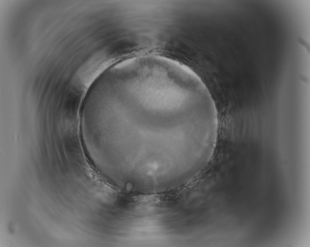 X0000103950100200810311559