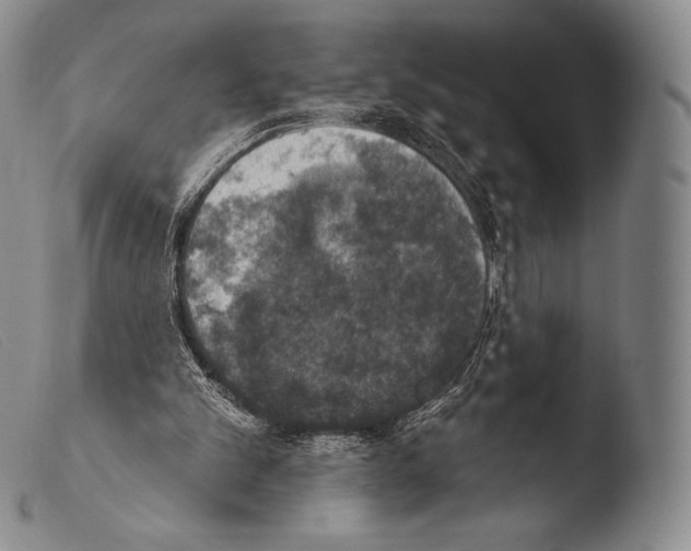 X0000103950101200810311559