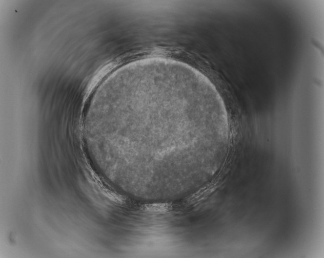 X0000103950102200810311559