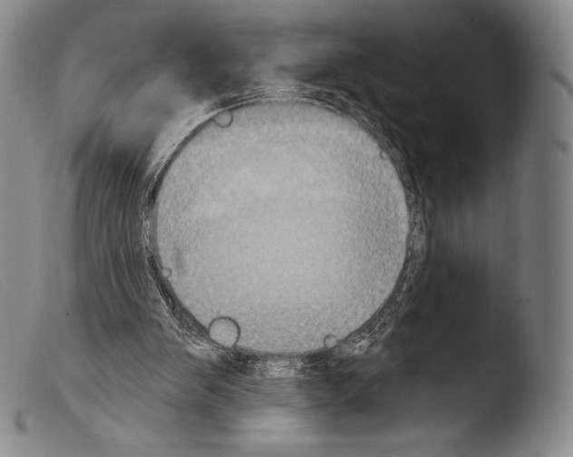X0000103950103200810311559