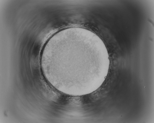 X0000103950104200810311559