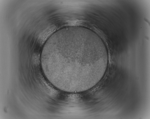 X0000103950105200810311559