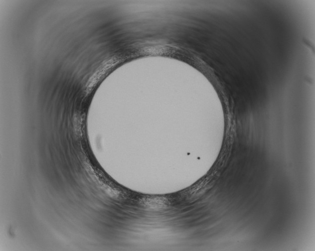 X0000103950106200810311559
