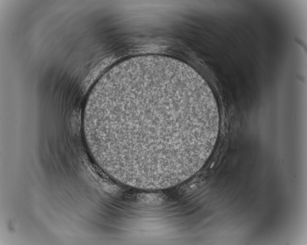 X0000103950107200810311559