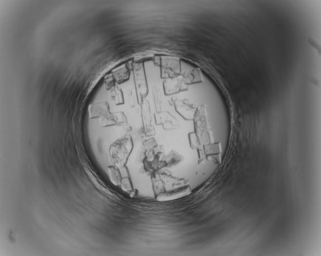 X0000103950108200810311559