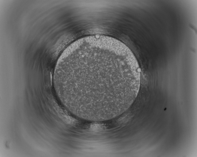 X0000103950109200810311559