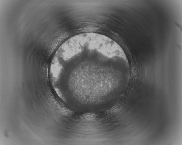 X0000103950110200810311559