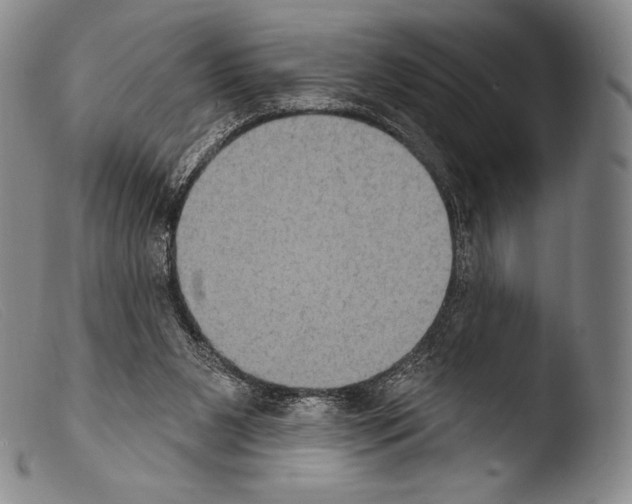 X0000103950111200810311559