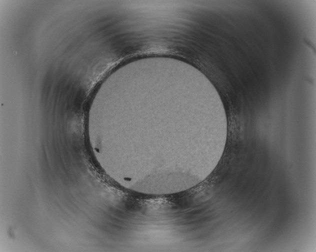 X0000103950112200810311559