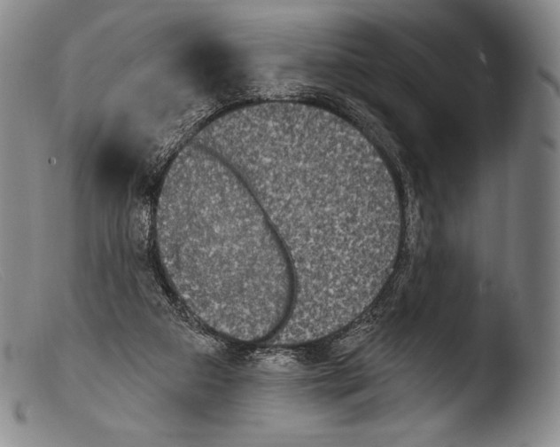 X0000103950113200810311559