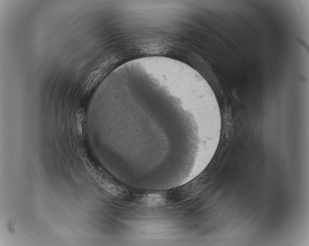X0000103950114200810311559