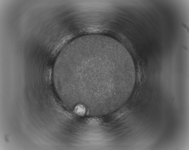 X0000103950115200810311559