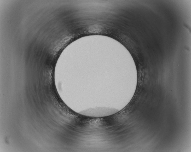 X0000103950116200810311559