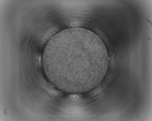 X0000103950117200810311559