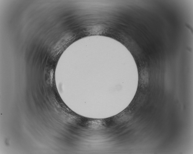 X0000103950118200810311559