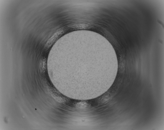 X0000103950119200810311559