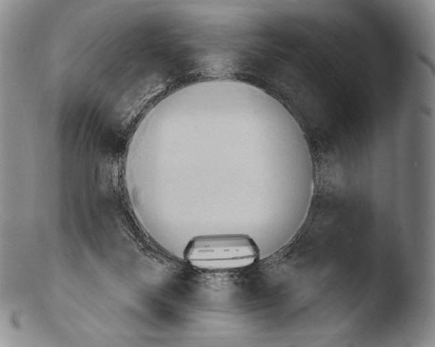 X0000103950120200810311559