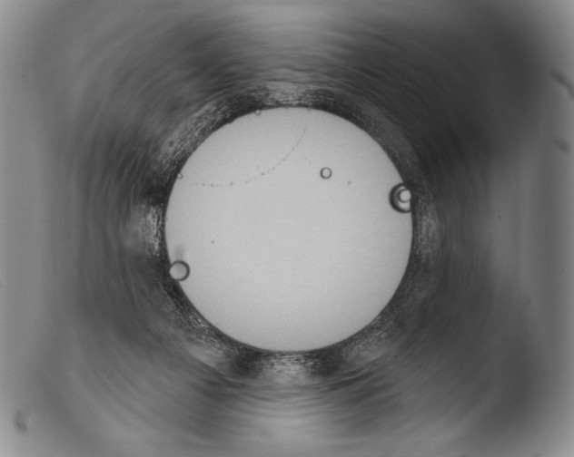 X0000103950121200810311559