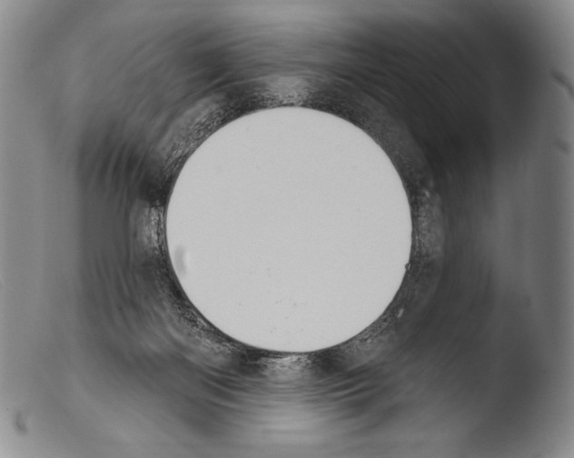 X0000103950122200810311559