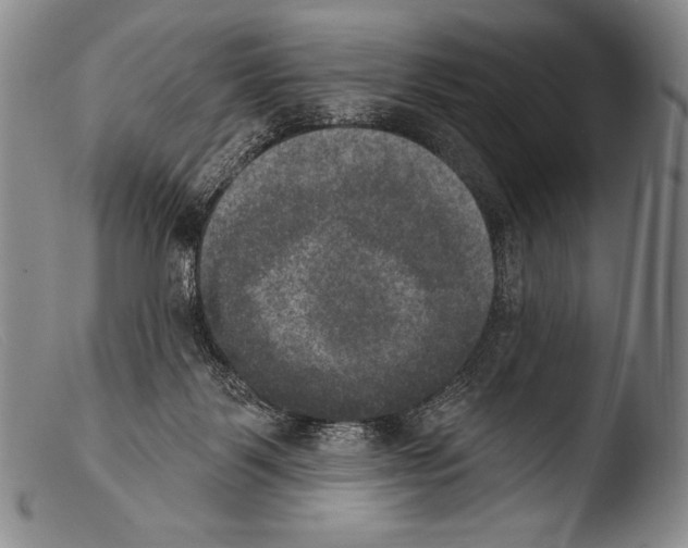 X0000103950123200810311559