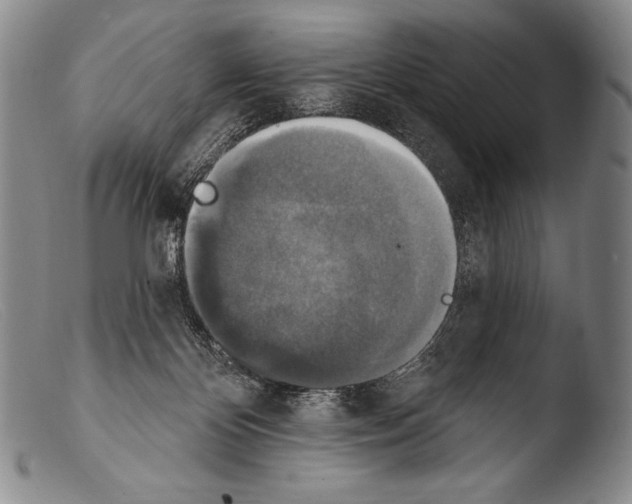 X0000103950124200810311559