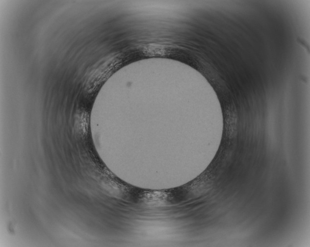 X0000103950125200810311559