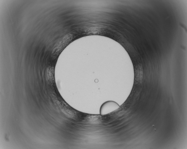 X0000103950126200810311559