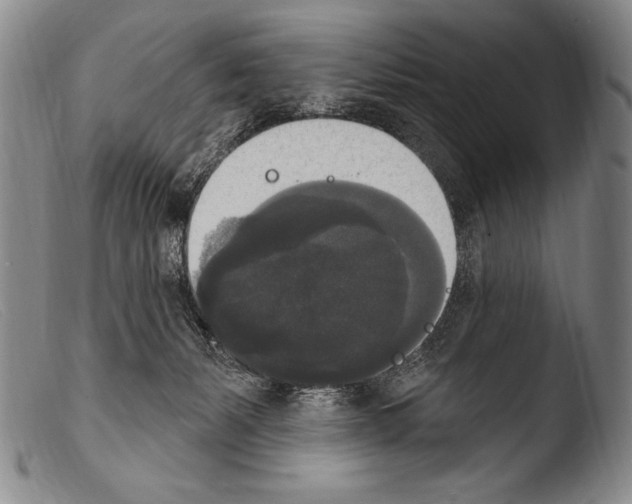 X0000103950127200810311559