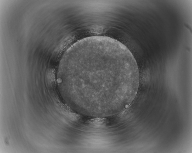 X0000103950128200810311559