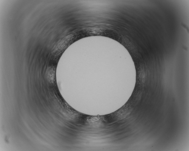 X0000103950129200810311559