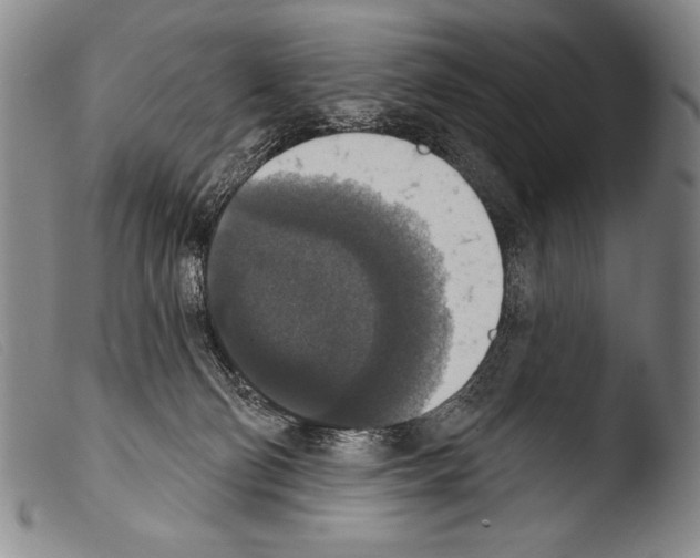 X0000103950130200810311559